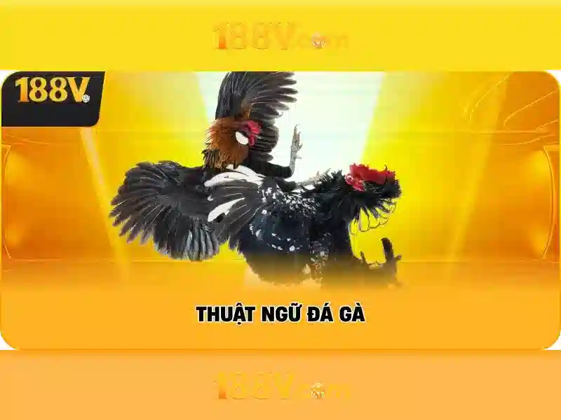 188v còn – chủ đề tổng quan và giá trị cốt lõi