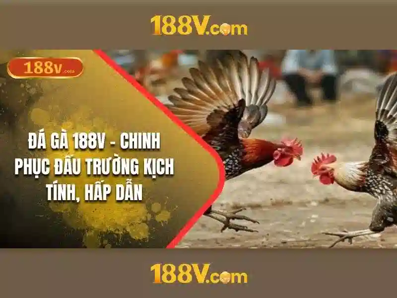 Hướng dẫn 188v – Tổng quan chủ đề và giá trị cốt lõi