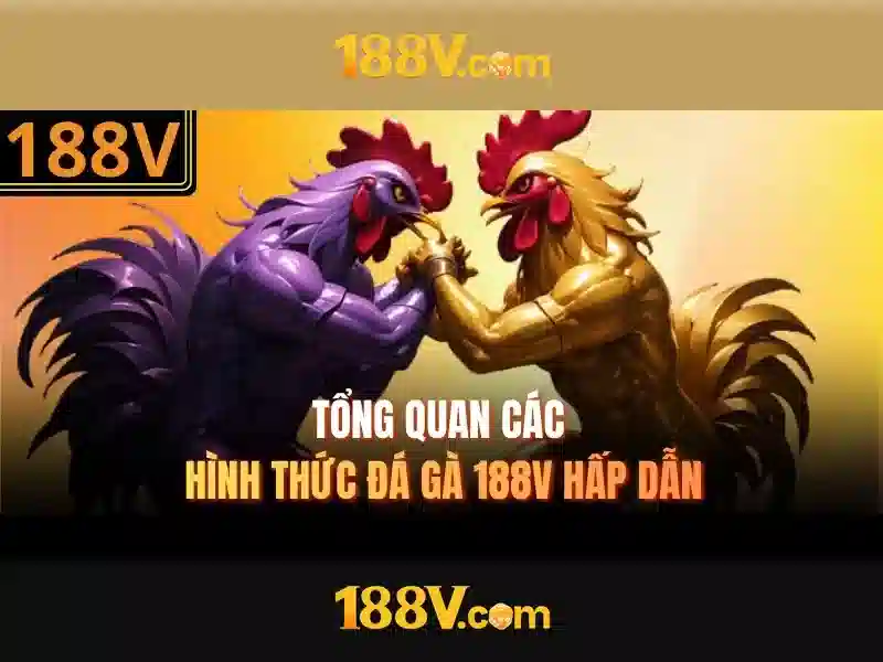188v vom Tong quan chu de va Gia tri cot loi 188v vom Tong quan chu de va Gia tri cot loi