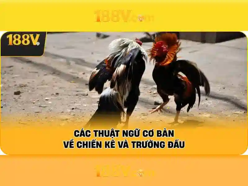 188v: Khái niệm, ứng dụng và an toàn Go88