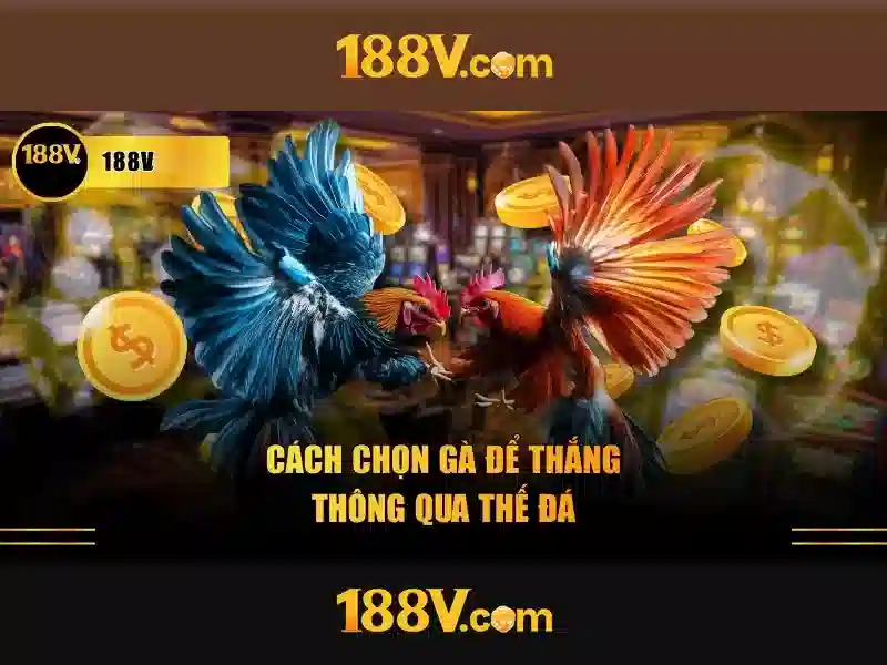 188v 188vv com vn – Tổng quan chủ đề và giá trị cốt lõi 188v 188vv com vn – Tổng quan chủ đề và giá trị cốt lõi