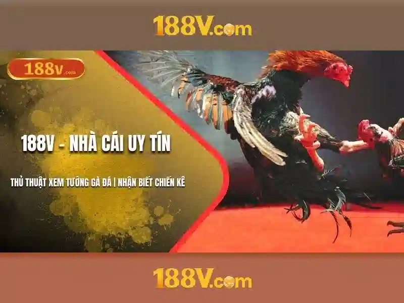 188v và hành trình khám phá công nghệ và văn hóa 1 Đăng Nhập