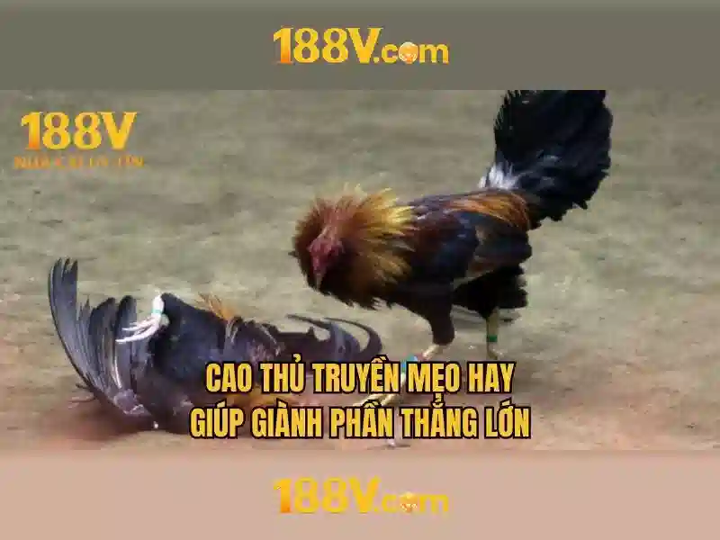 188v: khái niệm, lịch sử và ứng dụng Go88