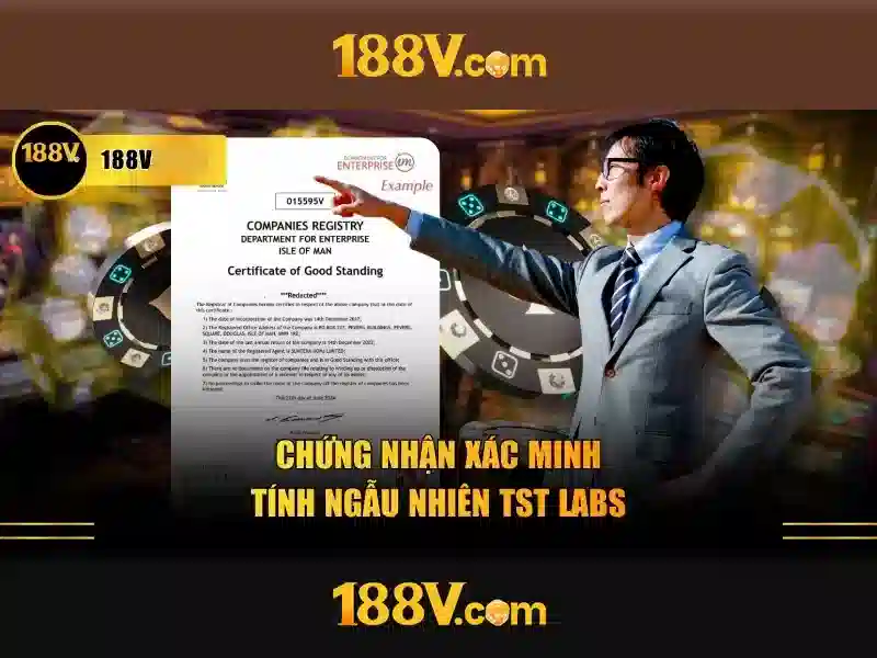 Trải nghiệm người dùng và phản hồi cộng đồng