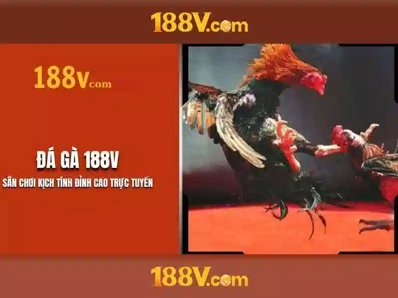 Khái niệm liên quan và mối liên hệ Khái niệm liên quan và mối liên hệ