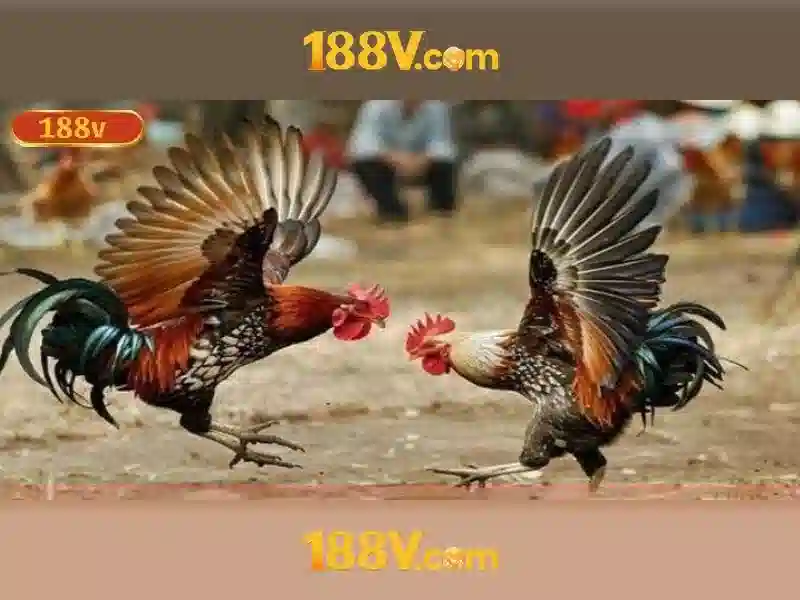 An toàn khi làm việc với 188v\n<h>Ứng dụng và lưu ý thực tế</h>\n<p>Trong ngành công nghiệp, 188v có thể được sử dụng cho biến tần, nguồn cấp cho động cơ và các hệ thống điều khiển. Việc quản lý điện áp và thao tác an toàn khi cần là rất quan trọng để bảo trì và giảm thiểu rủi ro lỗi.</p> An toàn khi làm việc với 188v\n<h>Ứng dụng và lưu ý thực tế</h>\n<p>Trong ngành công nghiệp, 188v có thể được sử dụng cho biến tần, nguồn cấp cho động cơ và các hệ thống điều khiển. Việc quản lý điện áp và thao tác an toàn khi cần là rất quan trọng để bảo trì và giảm thiểu rủi ro lỗi.</p>