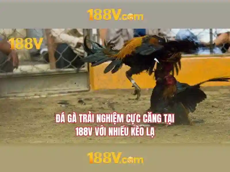 Nguồn gốc và ý nghĩa gốc của 188v