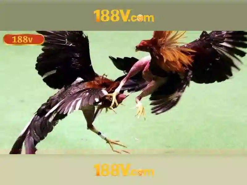 Phân tích cấu trúc và triển khai Phân tích cấu trúc và triển khai