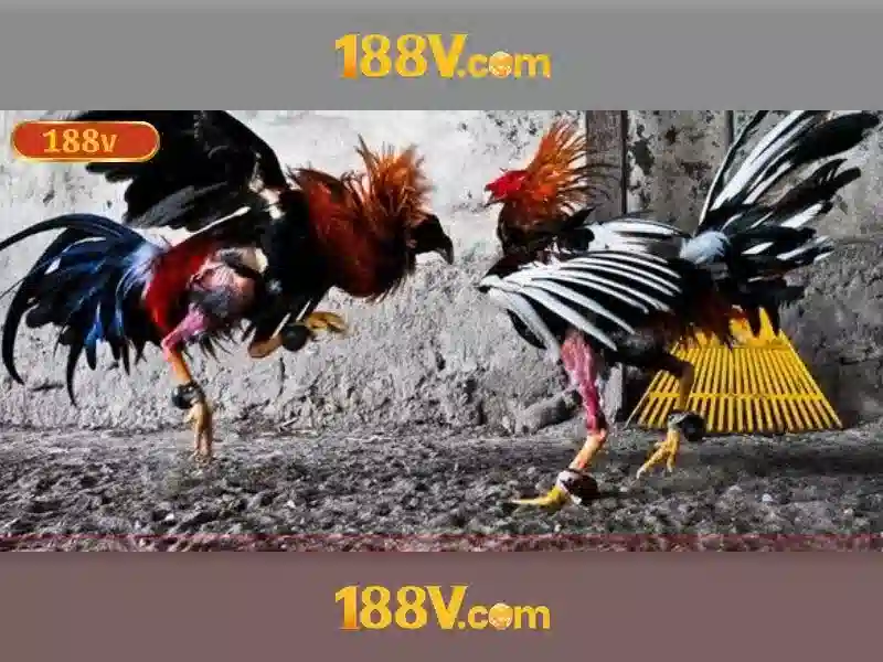 Khám phá 188v: một khái niệm và tiềm năng Go88