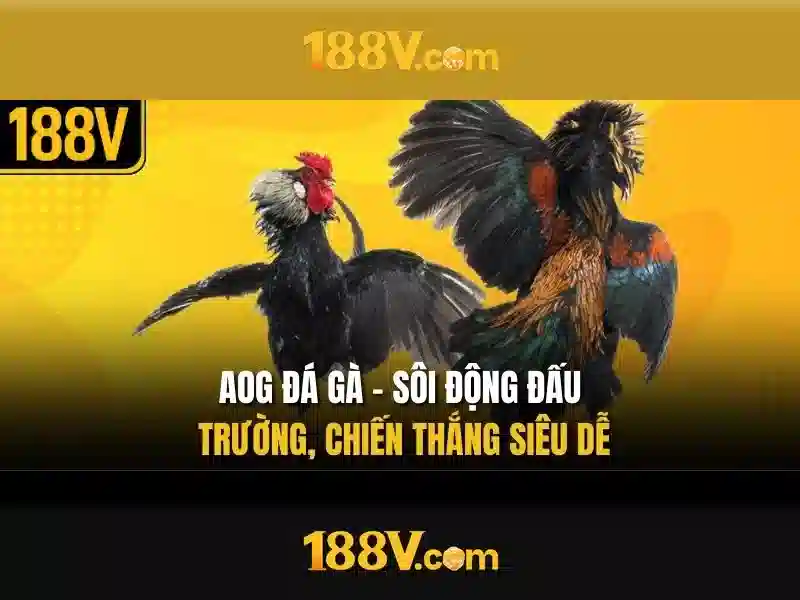 Đo lường và chuẩn bị dụng cụ cần thiết Đo lường và chuẩn bị dụng cụ cần thiết