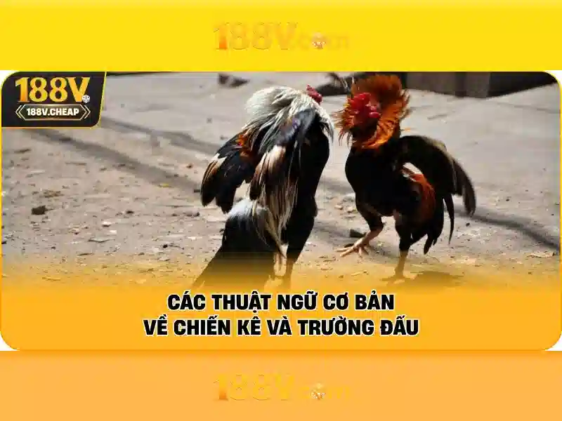 188v: một cái nhìn về công nghệ và văn hóa Go88