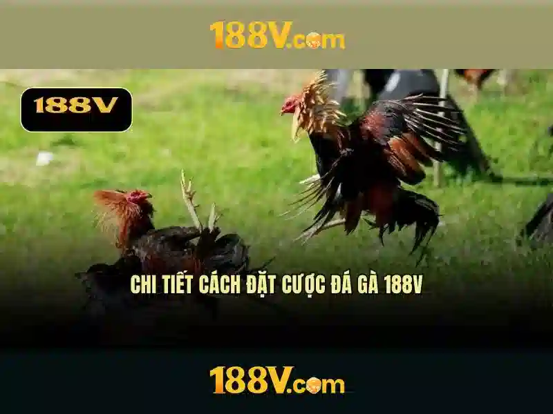 Nền tảng và ứng dụng Nền tảng và ứng dụng