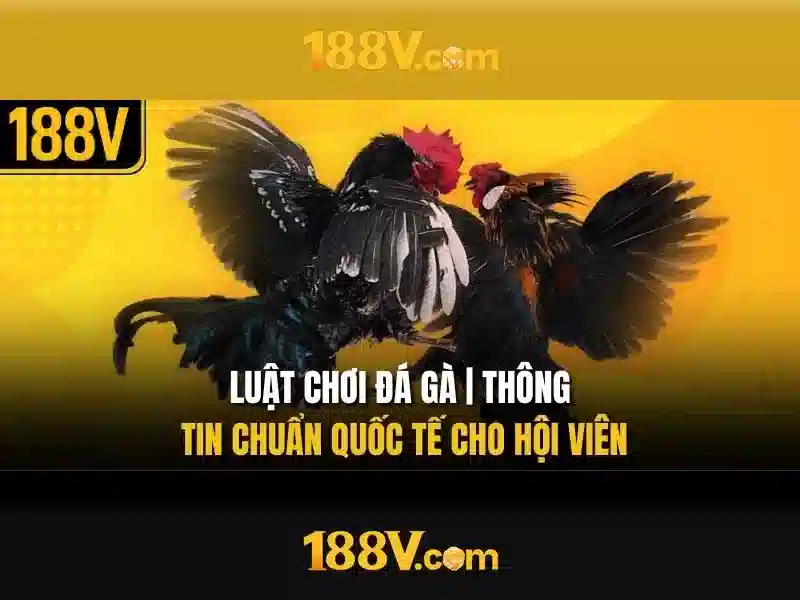 188v rút tiền - Trải nghiệm an tâm và hiệu quả 1 Đăng Nhập