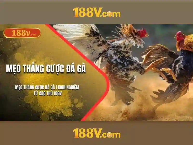 Kết luận và tiềm năng tương lai của 188v Kết luận và tiềm năng tương lai của 188v