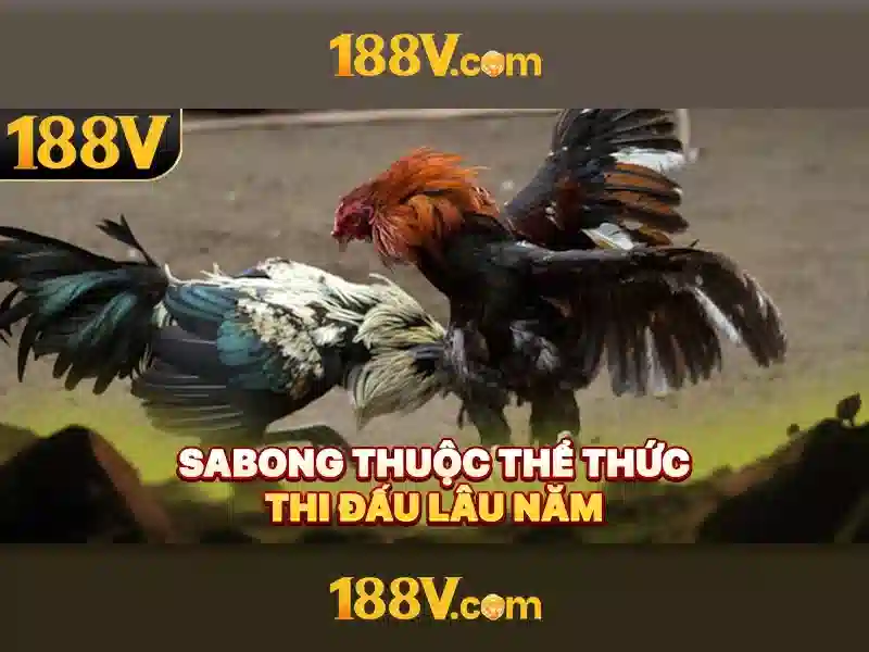 Một cái nhìn về 188V 1 Đăng Nhập
