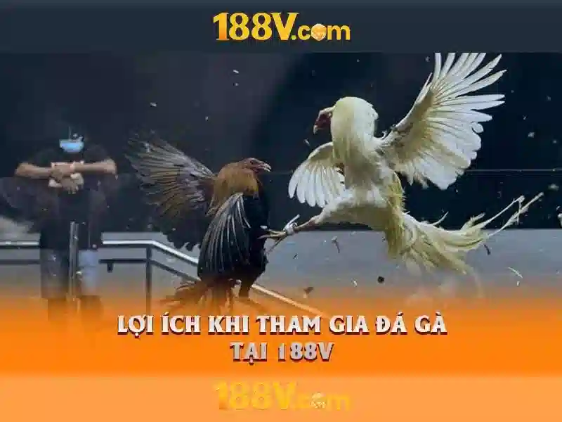188v: một nguồn cảm hứng cho công nghệ Go88