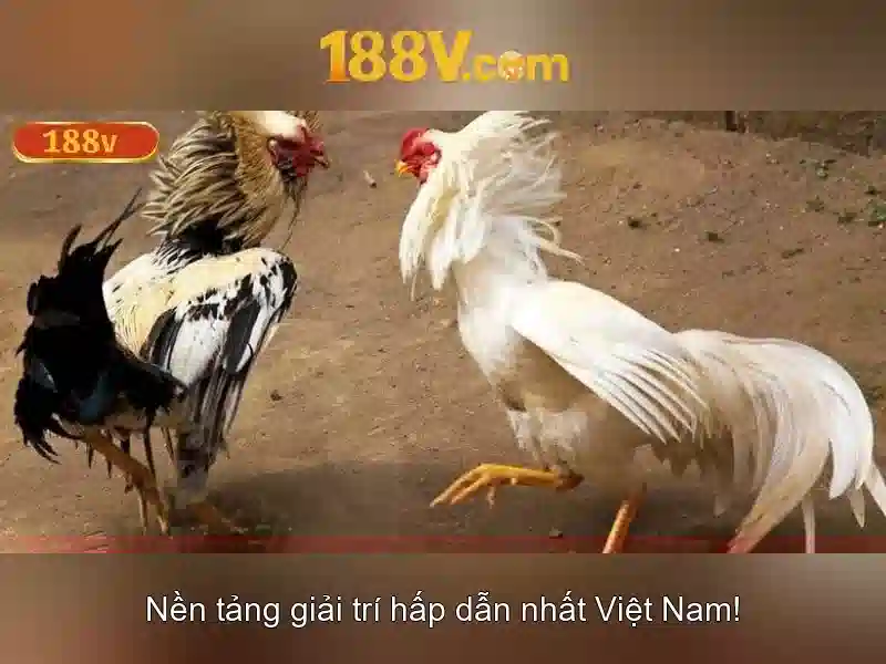 Đăng Nhập