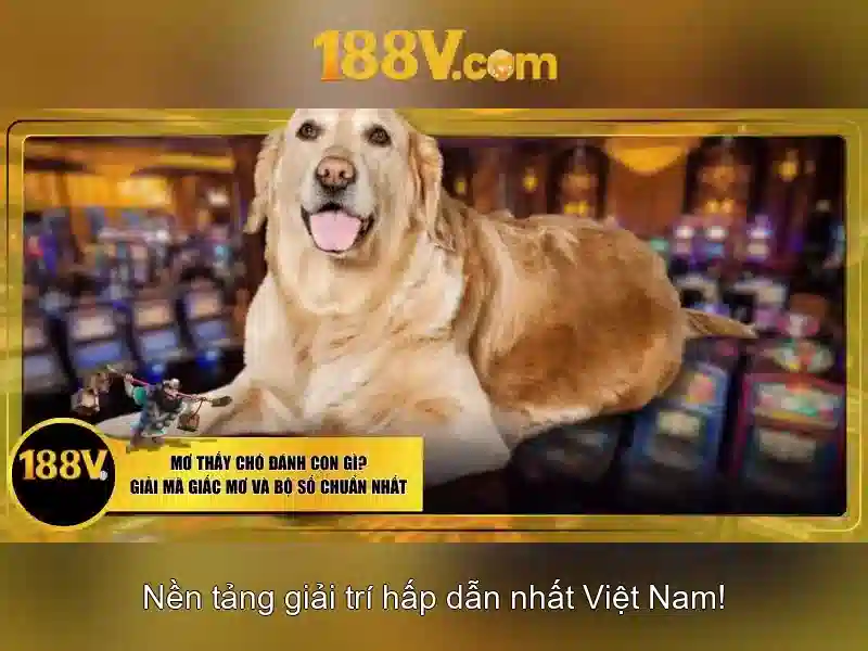 Ý nghĩa của 188v Ý nghĩa của 188v