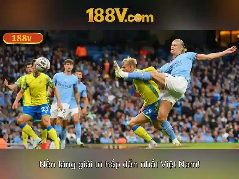 Khái niệm và tầm quan trọng của 188v Go88