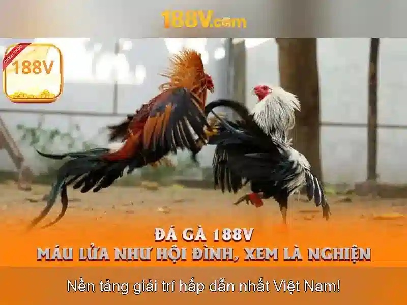 Ứng dụng hiện đại