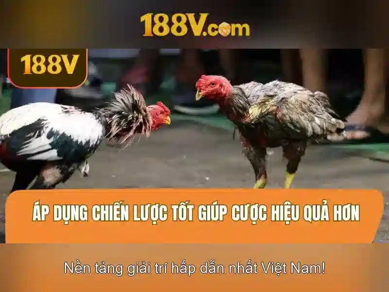 Đăng Nhập