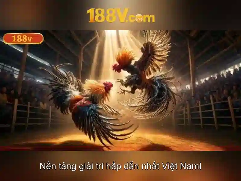 Lược sử của 188v Lược sử của 188v