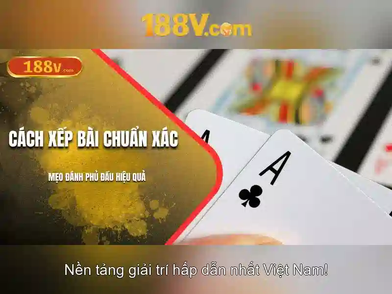 Kết luận