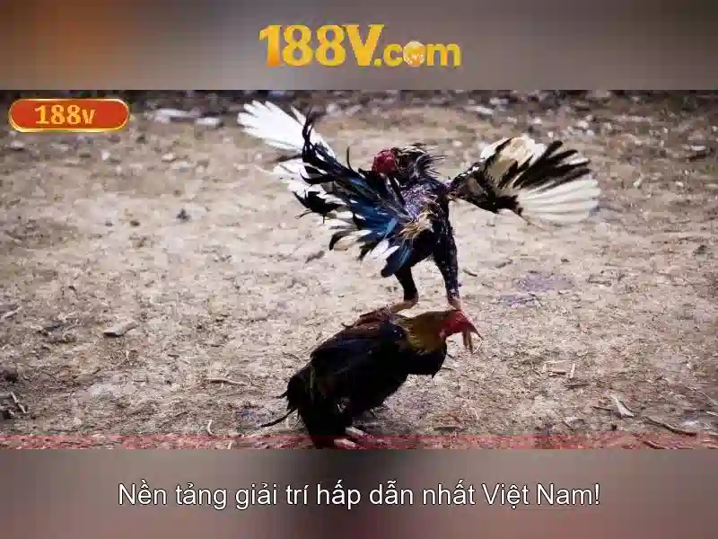 Đăng Nhập