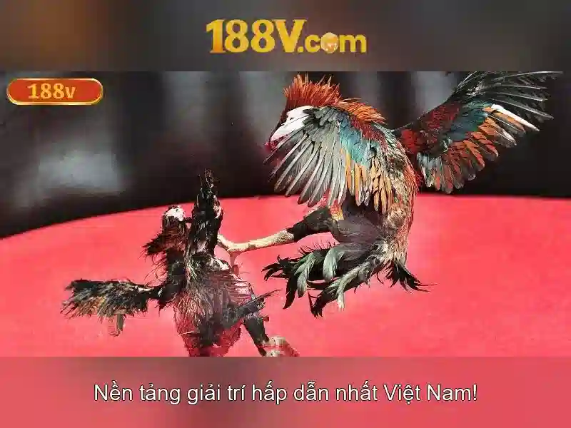 188V: Khái niệm và ứng dụng Go88