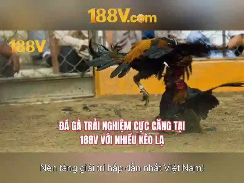 188v: Khám phá khái niệm và ứng dụng của nó Go88