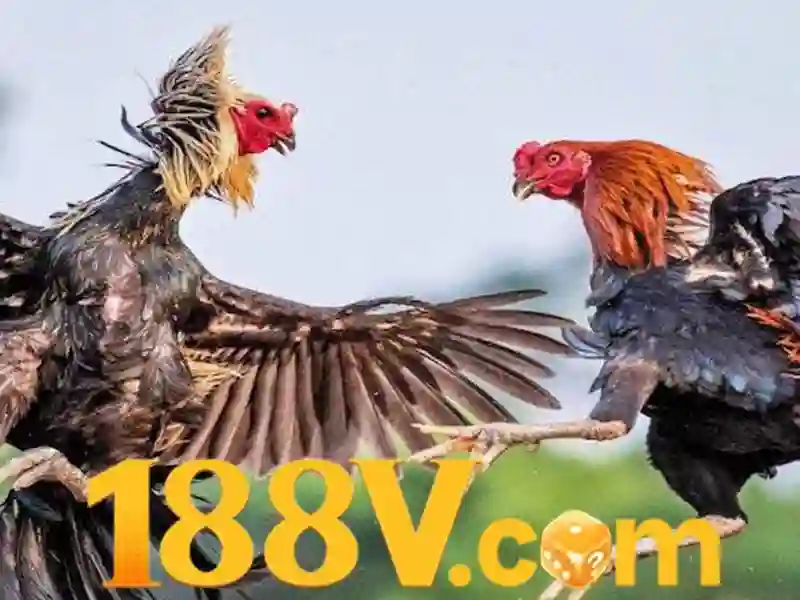 Tổng quan về giấy phép hoạt động và tính pháp lý của nhà cái 188v Tổng quan về giấy phép hoạt động và tính pháp lý của nhà cái 188v