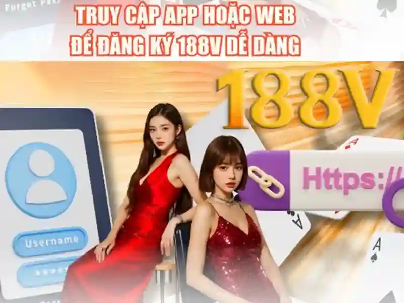 Trải nghiệm người dùng và phản hồi cộng đồng