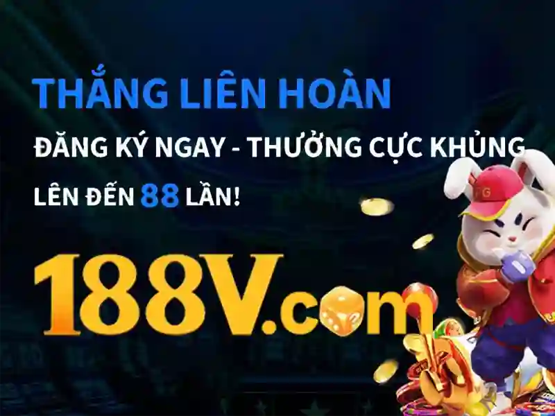 Trải nghiệm người dùng và phản hồi từ cộng đồng
